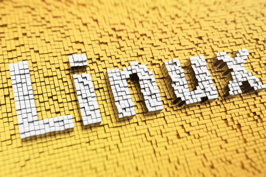 日本の教育現場におけるLinux導入事例と課題
